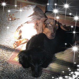 Meet your Posher, Danielle